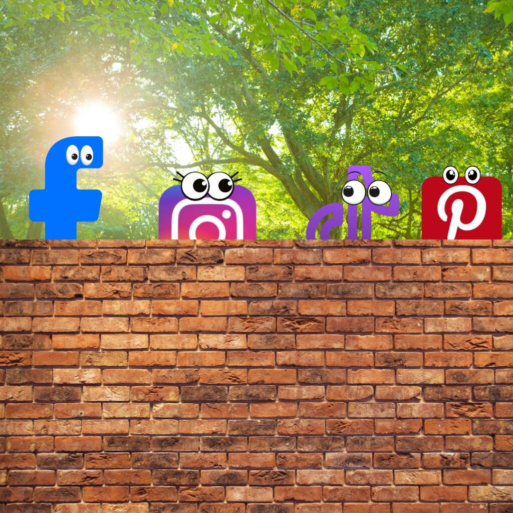 Social media icons showcasing the intricacies of advertising within walled gardens.