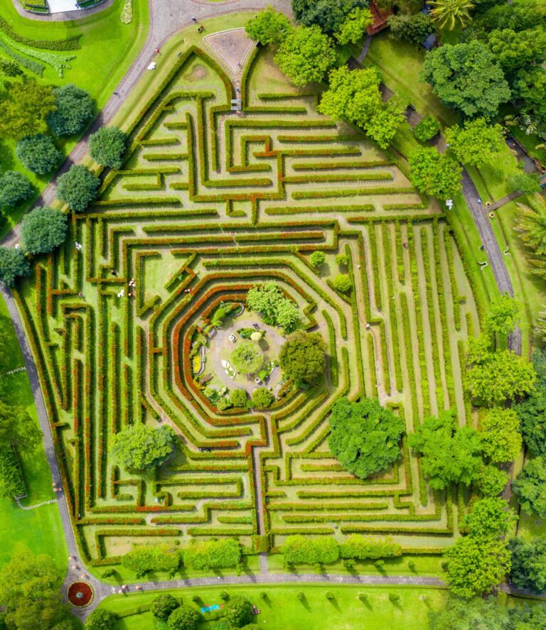 An aerial view of a park.