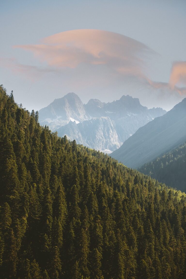 Advanced Marketing Analytics Techniques: The Key to the Future for Marketers studying a mountain range in the distance.